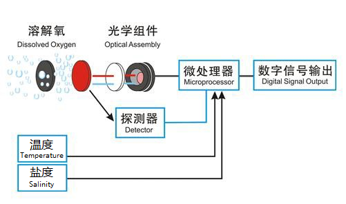 RDO-206A在线荧光法溶解氧传感器